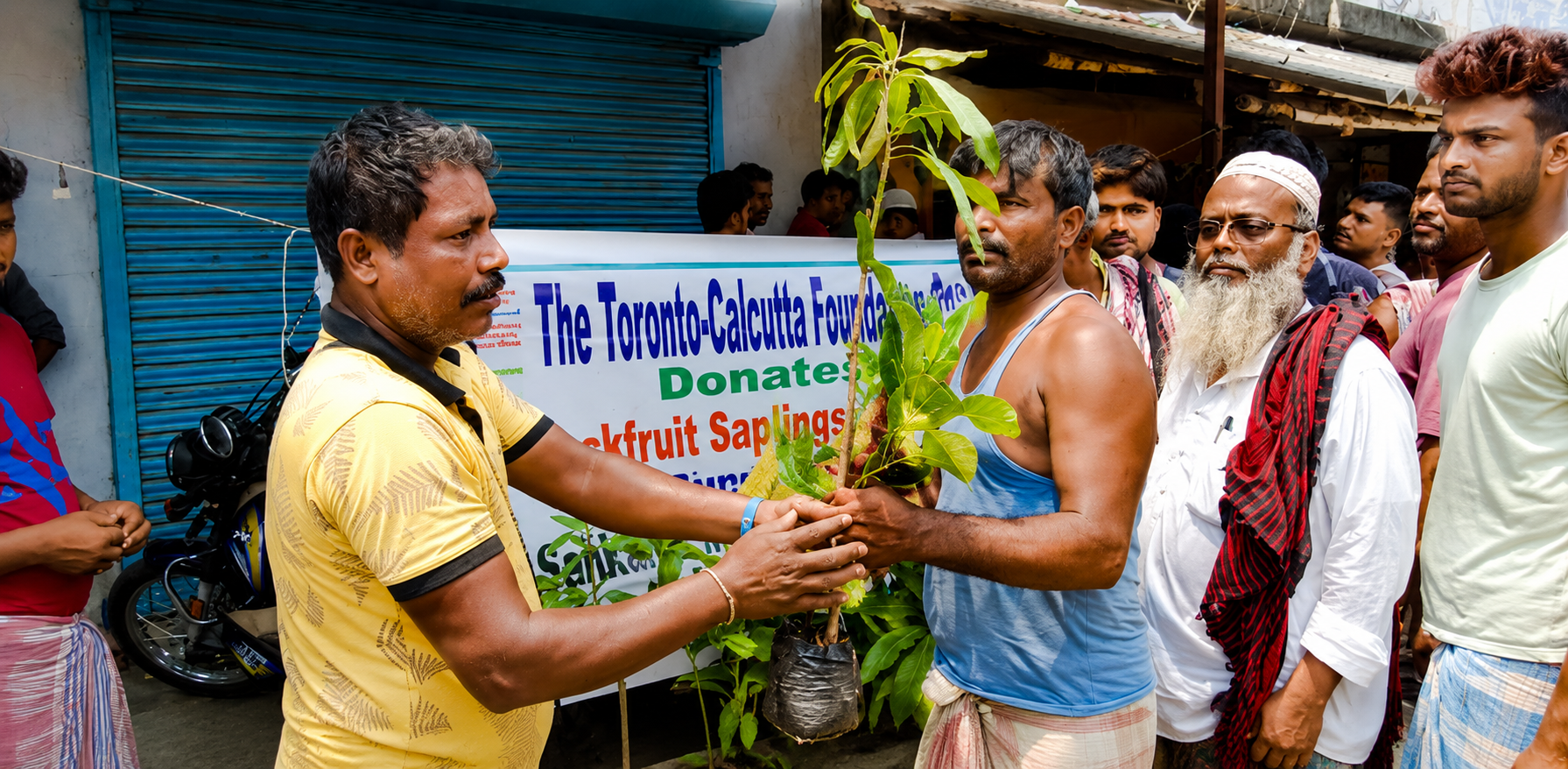 Green Plantation & Environment Awareness